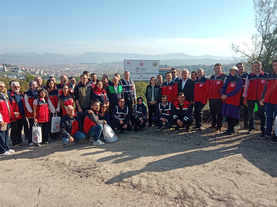 2025 Uluslararası Kooperatifler Yılı Kapsamında Bartın’da Hatıra Ormanı Oluşturuldu